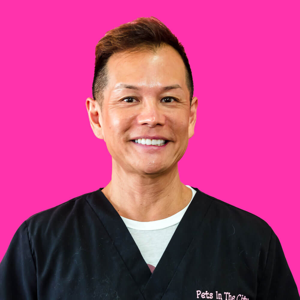 Scott at Pets in the City Hawaii