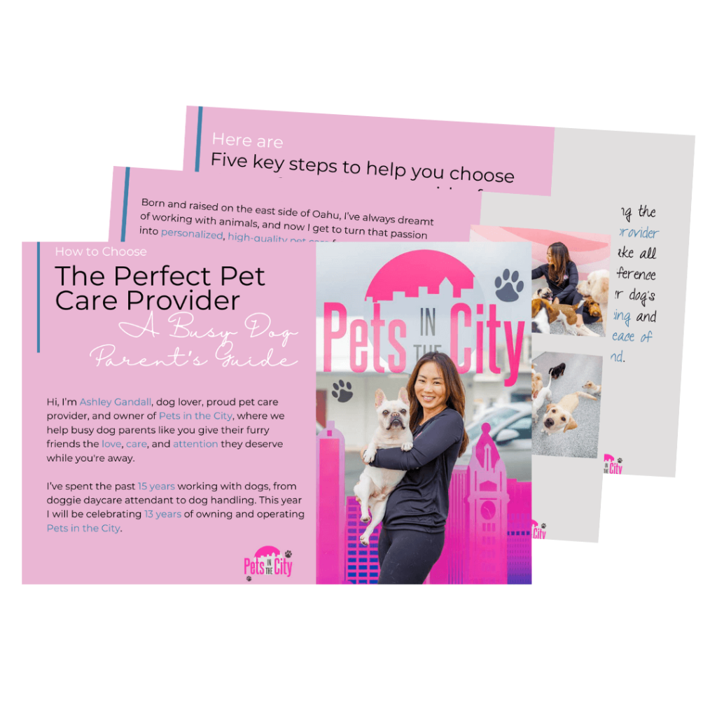 Teaser of 'How to Choose the Perfect Pet Care Provider: A Busy Dog Parent’s Guide'—a free downloadable resource from Pets in the City Hawaii. Featuring expert tips on selecting the best pet care, this guide helps dog parents make informed choices for their furry friends.