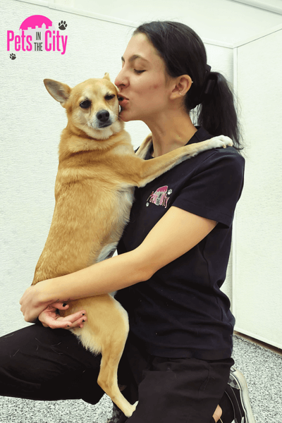 Sarah, Senior Animal Care Attendant at Pets in the City Hawaii, kneeling and kissing a happy dog while wearing a black shirt, with the company logo in the background.