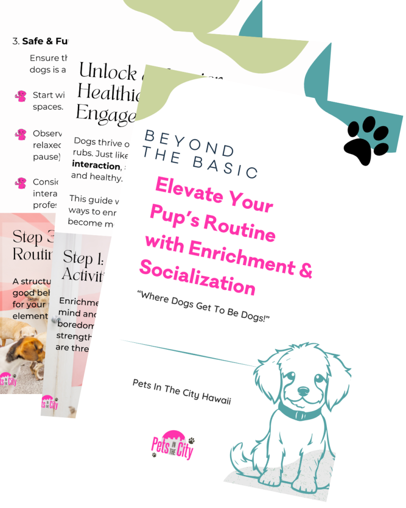 Free guide cover for "Beyond the Basics: Elevate Your Pup’s Routine with Enrichment & Socialization" by Pets in the City Hawaii, featuring dog enrichment tips.