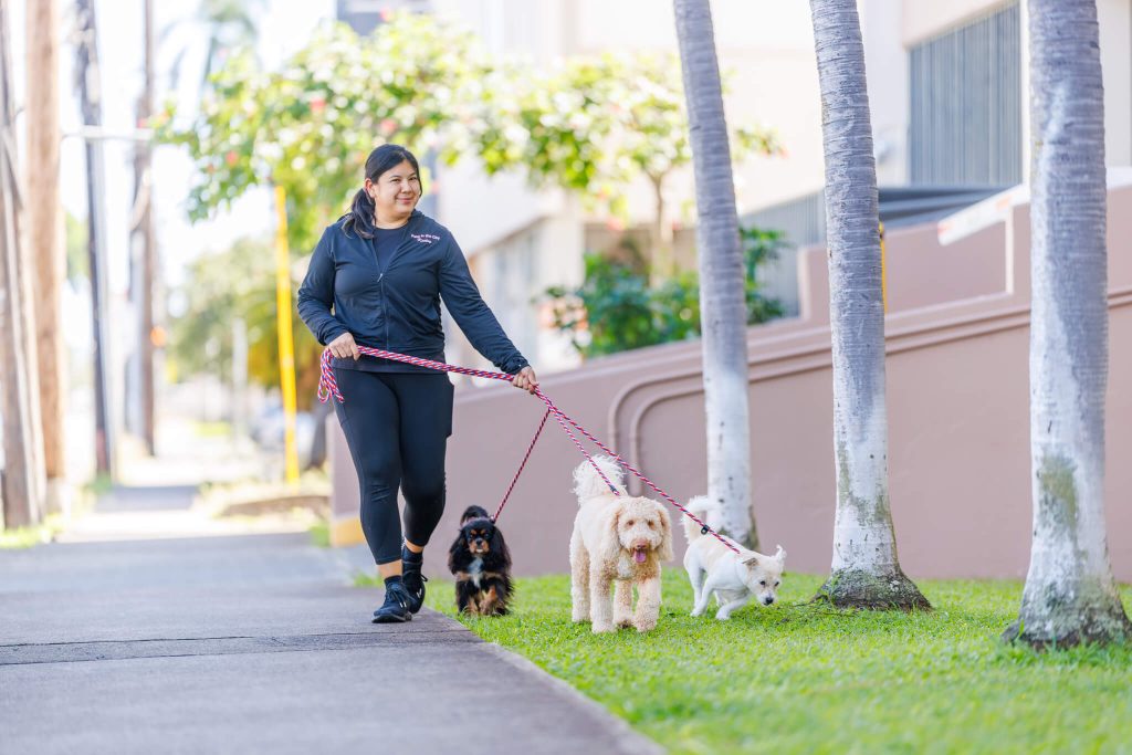 Kailey, manager at Pets in the City Hawaii, holding a dog on a walk outside the facility.