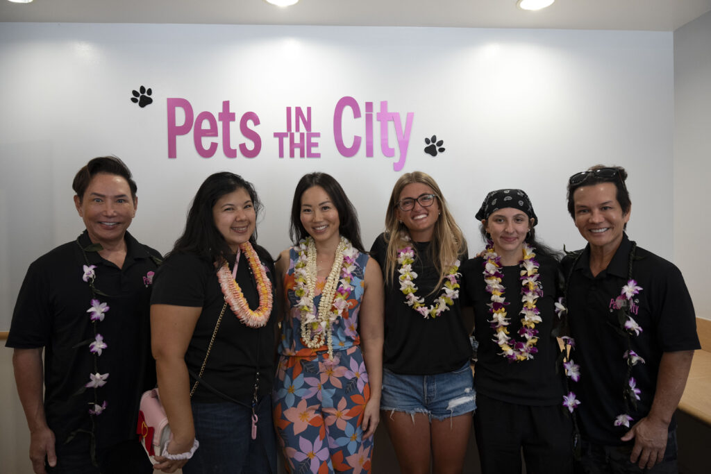 Pets in the City
