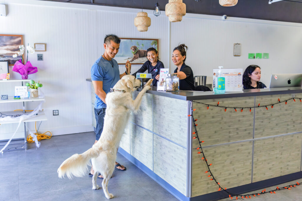 Pets in the City Unleashed lobby